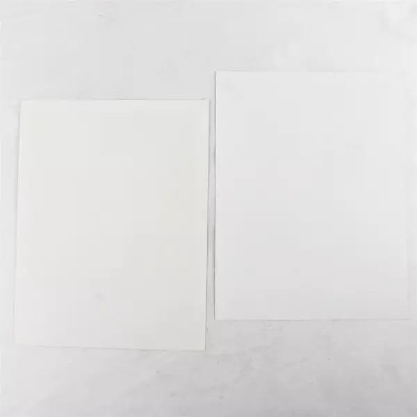 Lot of 2 Portland Winterhawks 8x10 Photos Andrej Podkonicky Tyler Murray