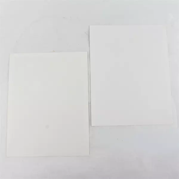 Lot of 2 Portland Winterhawks 8x10 Photos Jason LaBarbera Chris Wickenheiser