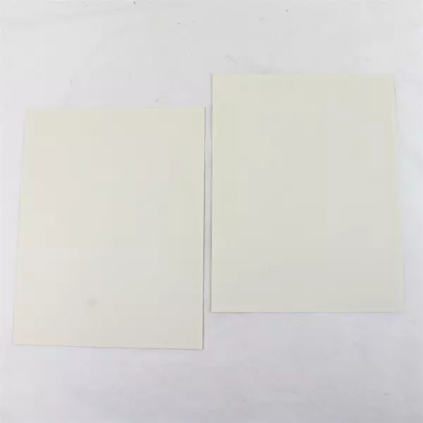 Lot of 2 Portland Winterhawks 8x10 Photos Brandon Smith Byron Dafoe