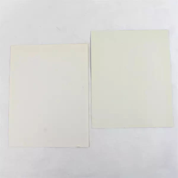 Lot of 2 Portland Winterhawks 8x10 Photos Michel Michon Regan Simpson