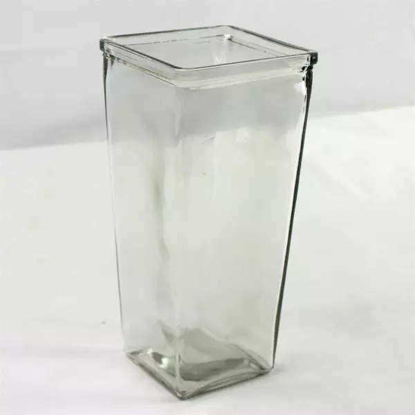 Tall Square Clear Glass Vase 9.25in Minimalist Modern