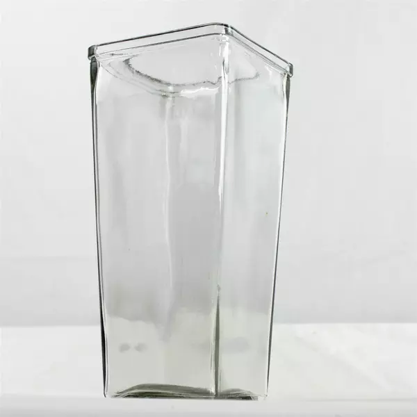 Tall Square Clear Glass Vase 9.25in Minimalist Modern