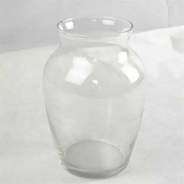 Clear Glass Curved Vase 8in Modern Decorative Flower Vase Small