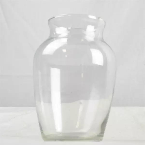 Clear Glass Curved Vase 8in Modern Decorative Flower Vase Small