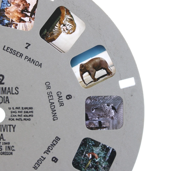 Lot Of 2 View Master 1949 Wild Animals Of Reels India #912 South America #914