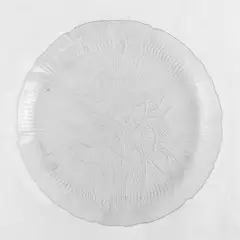 Arcoroc Canterbury Crocus Torte Plate 10.5in Clear Glass Serving Platter