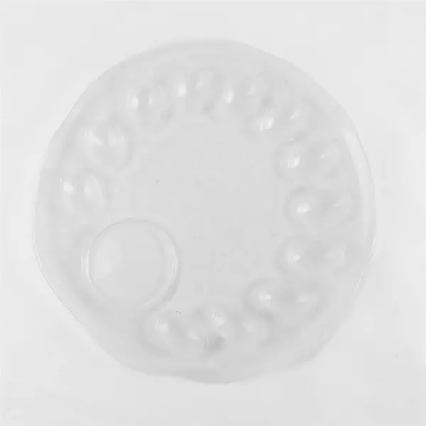 Clear Glass Deviled Egg Tray 12in Embossed Floral Butterfly Server