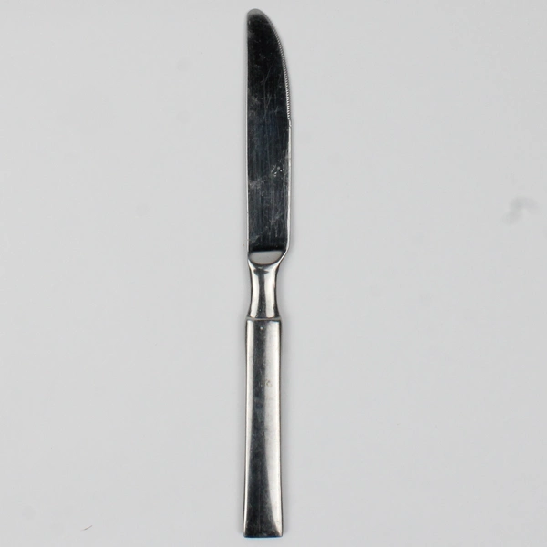 Oneida Stainless Dinner Knife Stainless Steel Flatware 9.25" Long