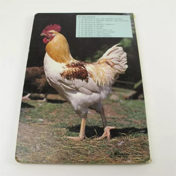 My Big Book of Animals at Home #8 (Froebel-kan co., ltd. Tokyo Japan)