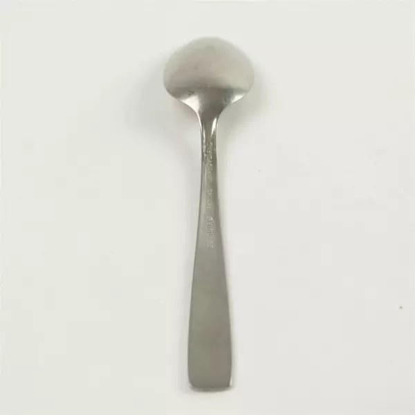 Set of 5 Oneida Satin Accent Stainless Teaspoons