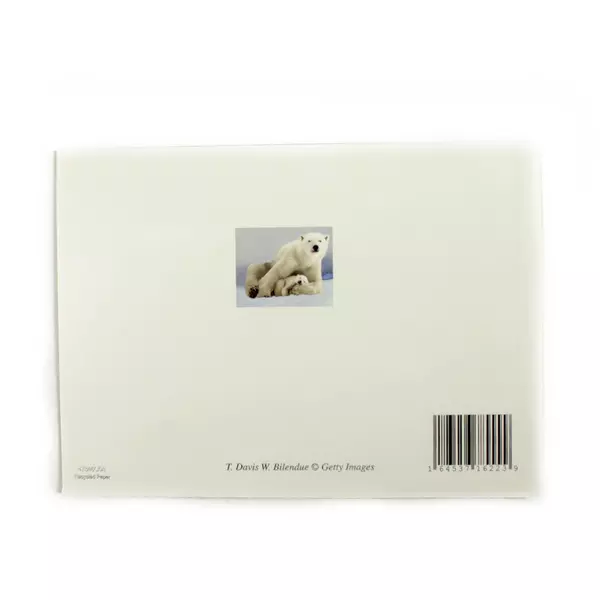 Lot of 20 Polar Bear Greeting Cards with 17 Envelopes 7x5.25in Open Box New