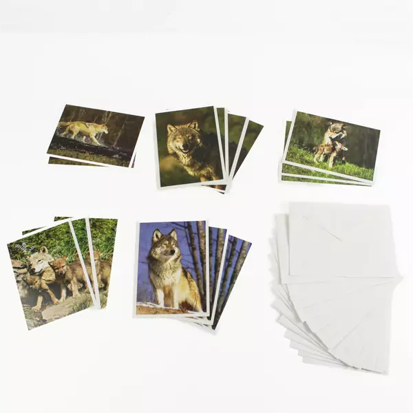 Wolf Greeting Cards Set 15 Cards + 16 Envelopes Open Box Unused