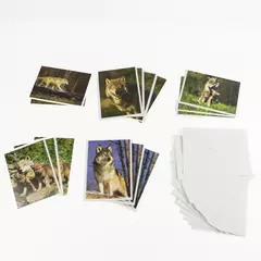 Wolf Greeting Cards Set 15 Cards + 16 Envelopes Open Box Unused