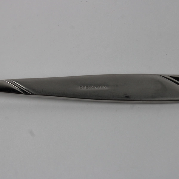 Lot Of 2 Oneida Silver Risotto (Stainless) Flatware Pierced Serving Spoon 9"