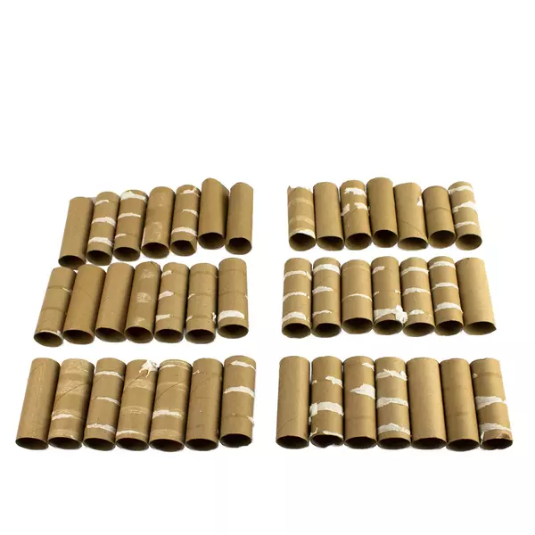 Lot of 42 Empty Cardboard Toilet Paper Rolls for Crafts DIY Projects