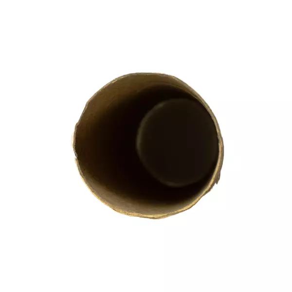 Lot of 42 Empty Cardboard Toilet Paper Rolls for Crafts DIY Projects