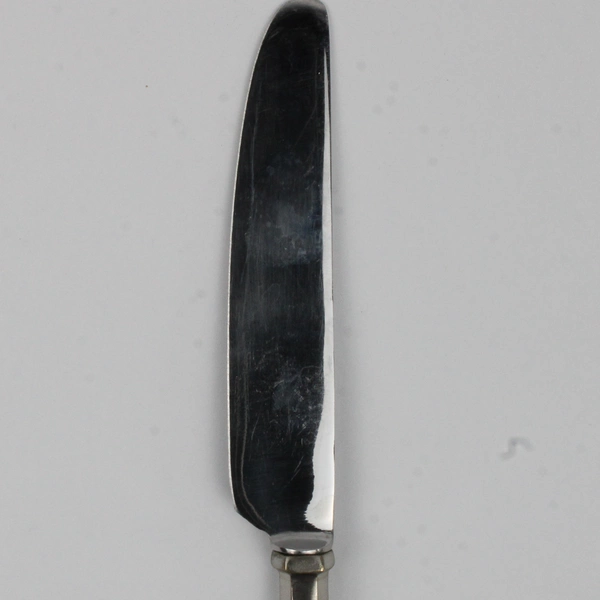 Wallace Silver Unknown Pattern Stainless Dinner Knife 9.25" Rare HTF