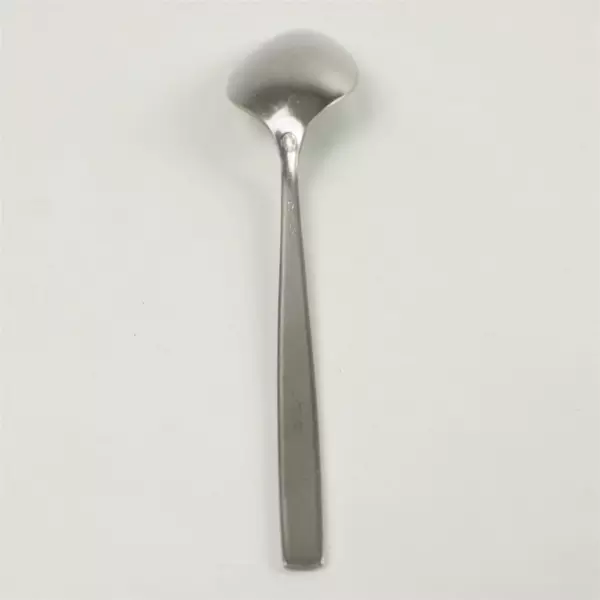Set of 5 Oneida Melissa Stainless Teaspoons 6 1/8"