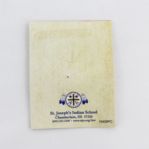 Tiyospaye Club St Joseph's Indian School Top Enamel Gold Tone Pin 1" in Card