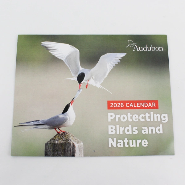 Audubon Protecting Birds and Nature 2026 Wall Calendar Beautiful Birds