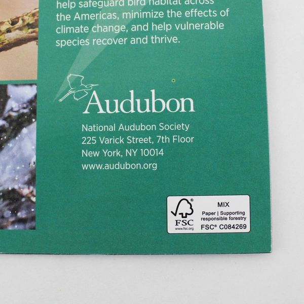 Audubon Protecting Birds and Nature 2026 Wall Calendar Beautiful Birds