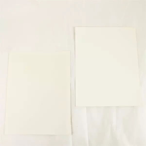 Lot of 2 Portland Winterhawks 8x10 Photos Kevin Popp & Kevin Haupt 