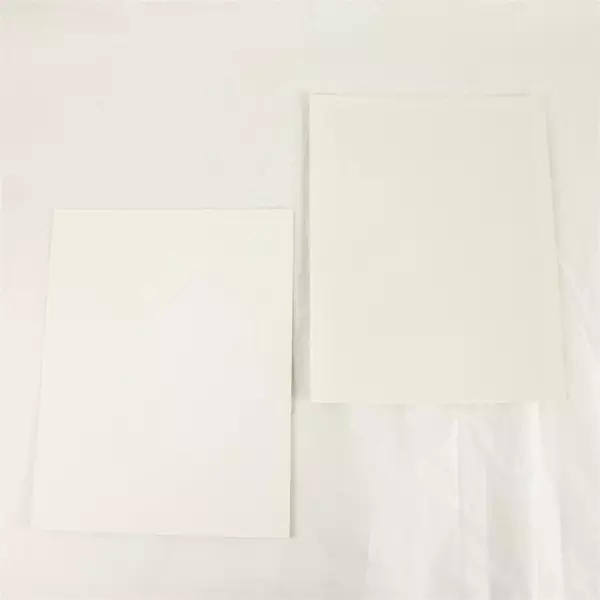 Lot of 2 Portland Winterhawks 8x10 Photos Brad Swanson Dave Scatchard