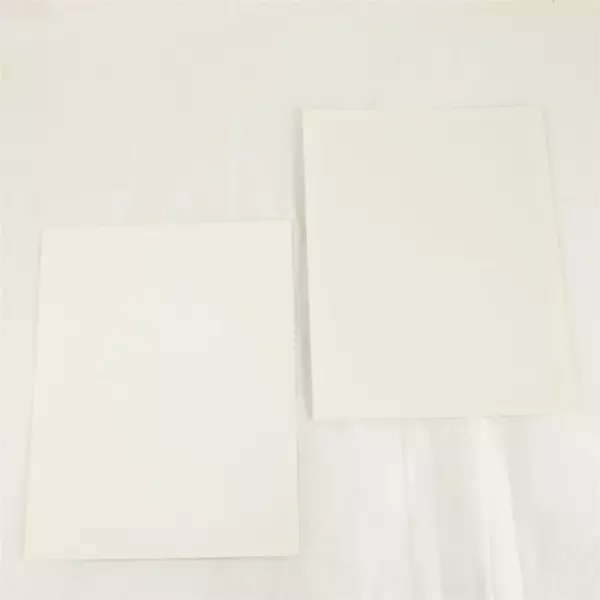 Lot of 2 Portland Winterhawks 8x10 Photos Colin Forbes & Brad Isbister