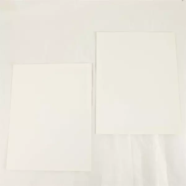 Lot of 2 Portland Winterhawks 8x10 Photos Todd Robinson Marty Standish