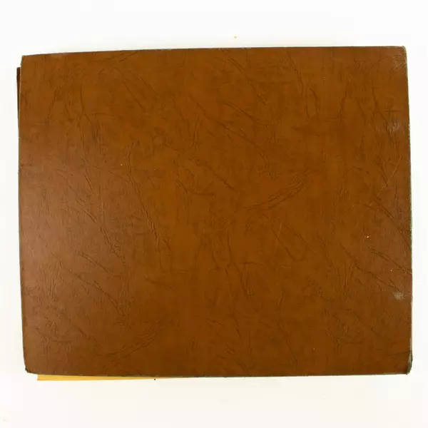 Lot of 10 78 RPM Records in Carrying Case Assorted Songs As is