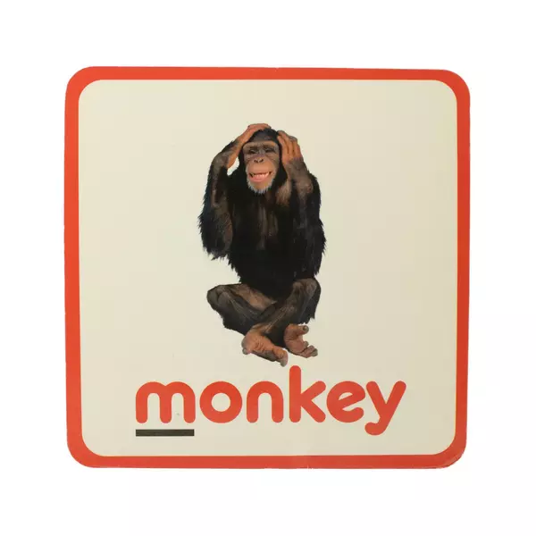 Embryonics My First Flash Cube 55 Cards Learning Flashcards Used