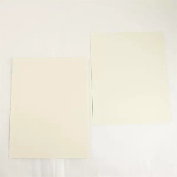 Lot of 2 Portland Winterhawks 8x10 Photos Shayne Sieker Brantt Myhres