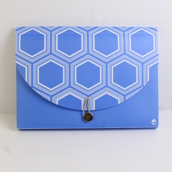 Studio C The Pattern Play Collection 2014 Carolina Pad Expandable File Organizer