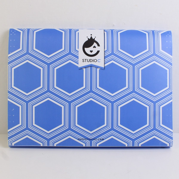 Studio C The Pattern Play Collection 2014 Carolina Pad Expandable File Organizer