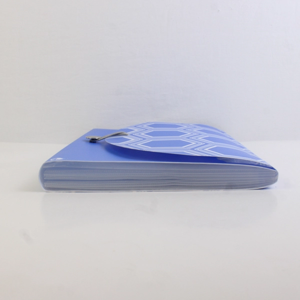 Studio C The Pattern Play Collection 2014 Carolina Pad Expandable File Organizer