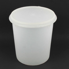 Vintage Tupperware 9-Quart Sheer Canister Tub 255-5 with 1203-6 Lid