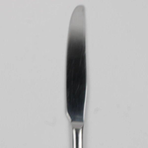 Lot of 4 Oneida Silver Dorset Pattern 18/0 Stainless Dinner Knives 9.5" Good