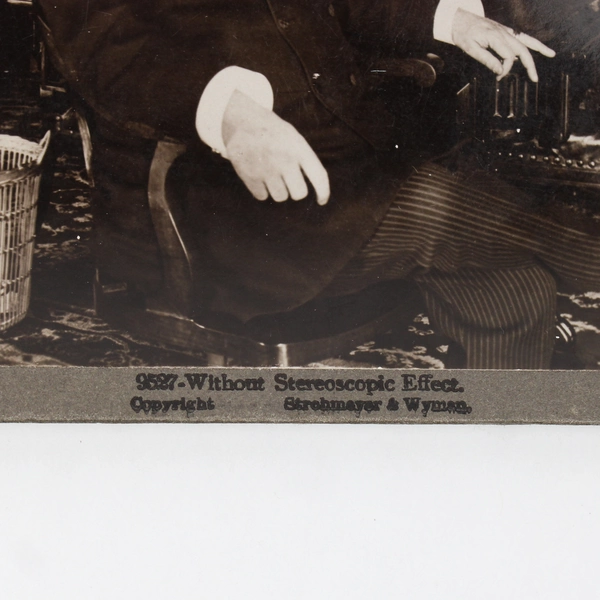 US President William McKinley Underwood Stereoview Without Stereoscopic Effect