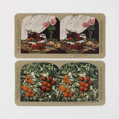 Lot Of 2 World Wide View Co Color Stereoviews California Oranges Flowers Fruit 