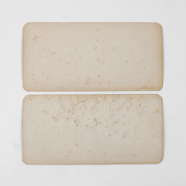 Lot Of 2 World Wide View Co Color Stereoviews California Oranges Flowers Fruit 