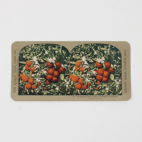 Lot Of 2 World Wide View Co Color Stereoviews California Oranges Flowers Fruit 