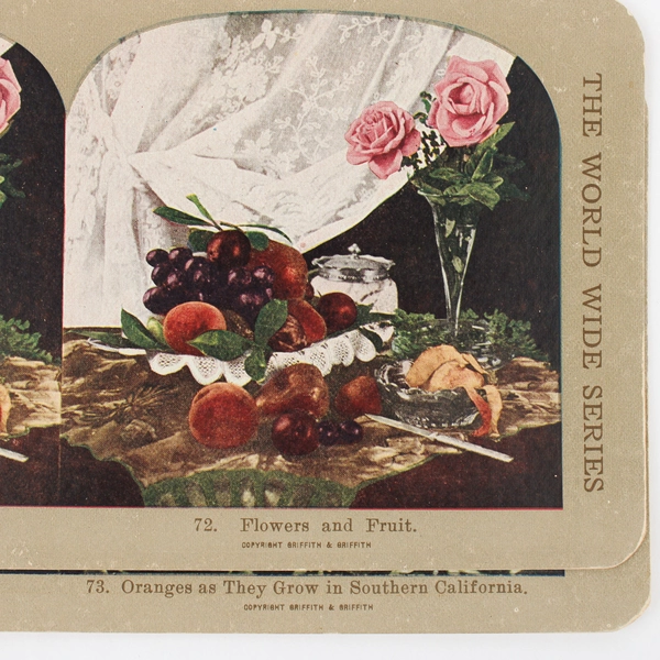 Lot Of 2 World Wide View Co Color Stereoviews California Oranges Flowers Fruit 