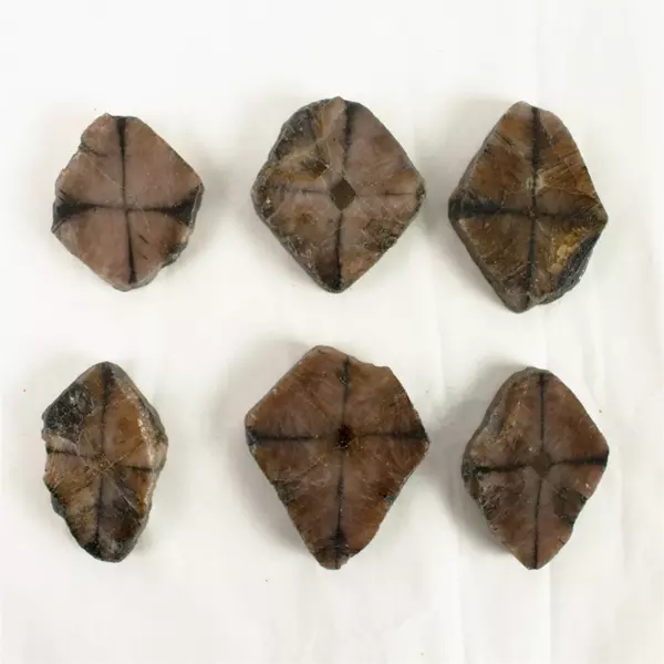 Lot of 6 Cut Cross-Section Chiastolite Stones 226 Grams Total