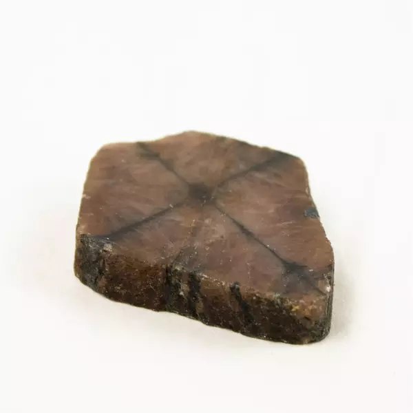 Lot of 6 Cut Cross-Section Chiastolite Stones 226 Grams Total