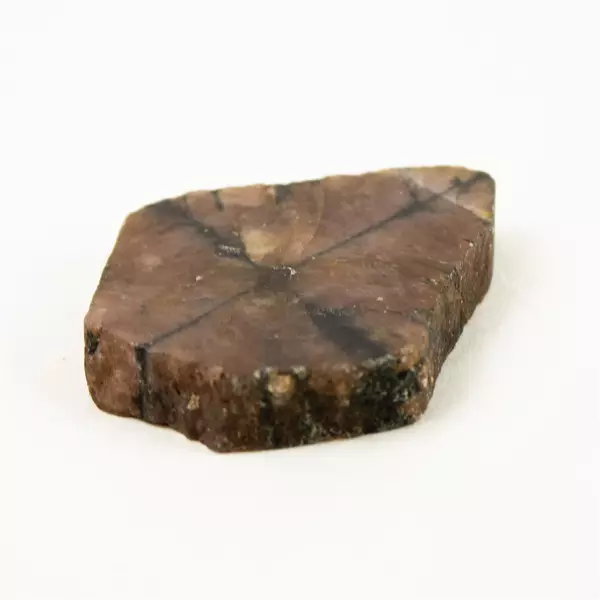 Lot of 6 Cut Cross-Section Chiastolite Stones 226 Grams Total