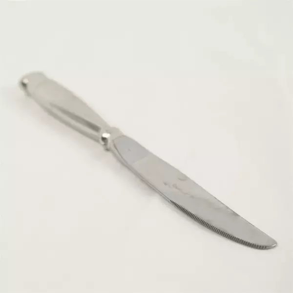 Set of 5 Oneida Silver Satin Rattan Modern Hollow Handle Dinner Knives 