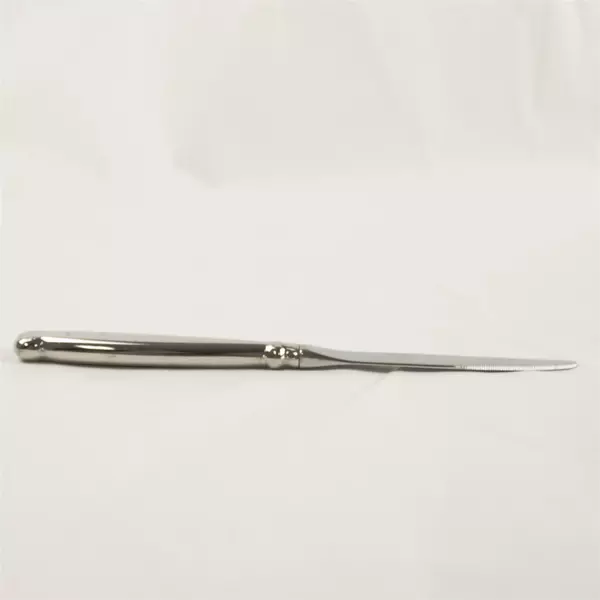 Set of 6 Oneida Silver Satin Rattan Modern Hollow Handle Knives 9in