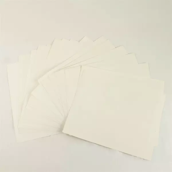 Lot of 16 8x10 Portland Winterhawks Photos 1999-2000 WHL Players