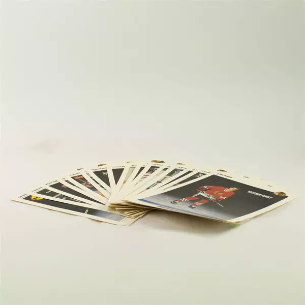 Lot of 16 8x10 Portland Winterhawks Photos 1999-2000 WHL Players