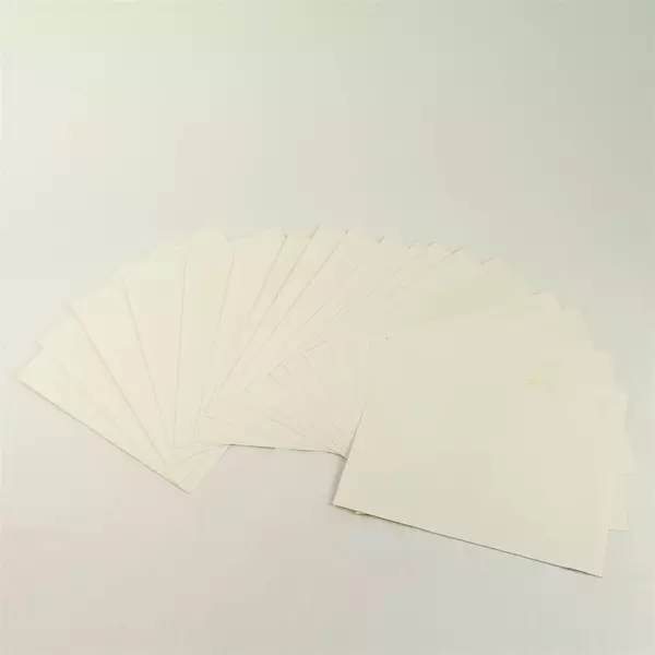 Lot of 18 8x10 Portland Winterhawks Photos 1998-99 WHL Players